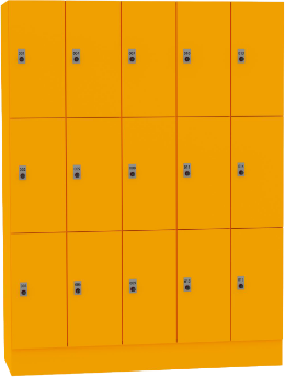 Wm3 mango